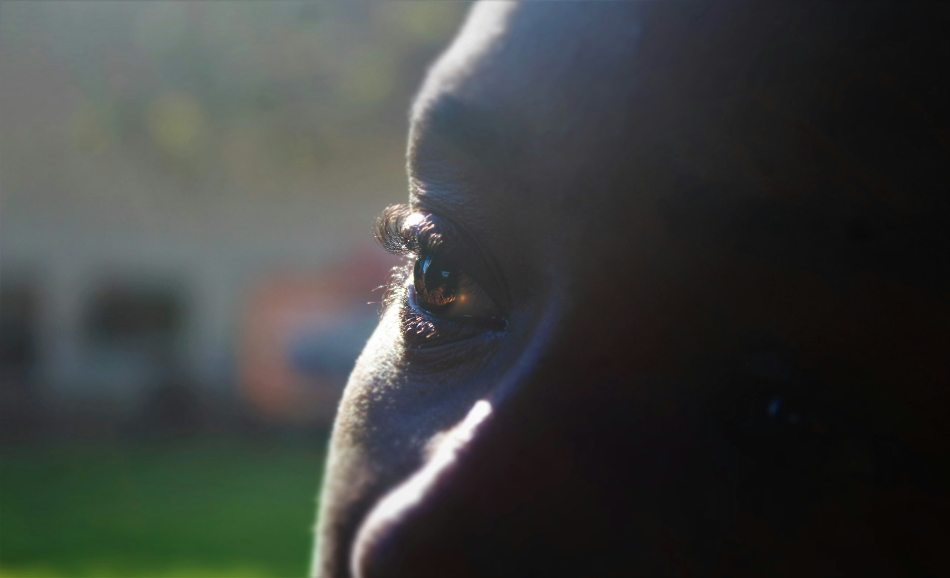 person on selective focus photography